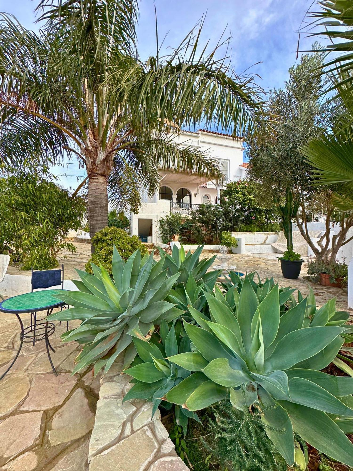 La Finca - 3Br Seaside Villa With Private Pool & Bbq طنجة المظهر الخارجي الصورة